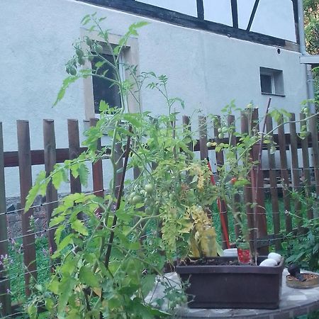 Zum Stillen Himmelbett In Lichtenwalde Niederwiesa Екстериор снимка