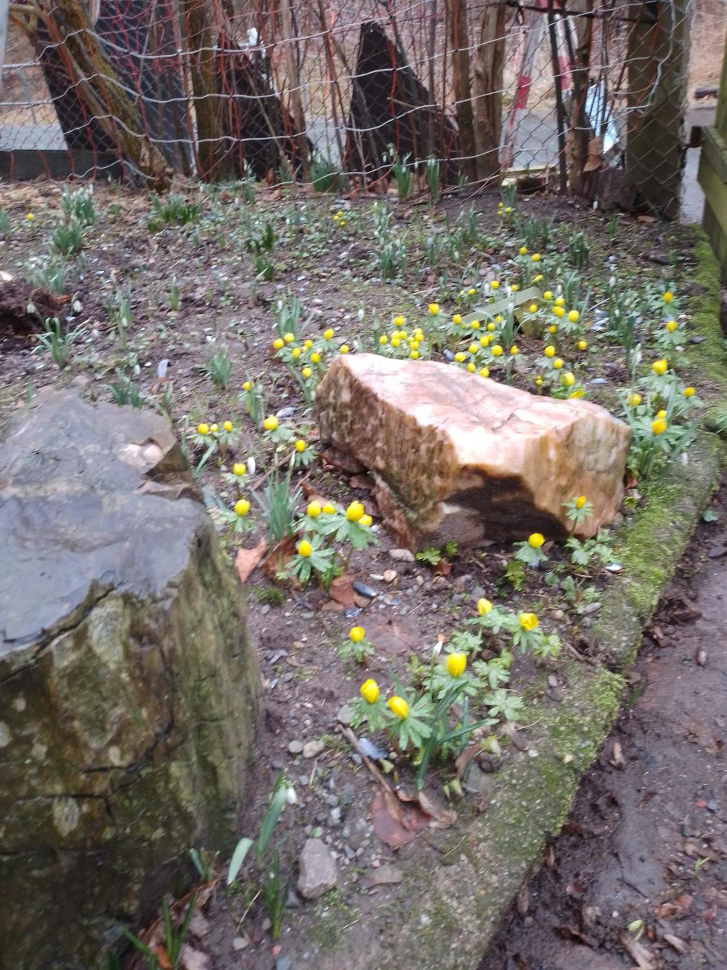 Zum Stillen Himmelbett In Lichtenwalde Niederwiesa Екстериор снимка